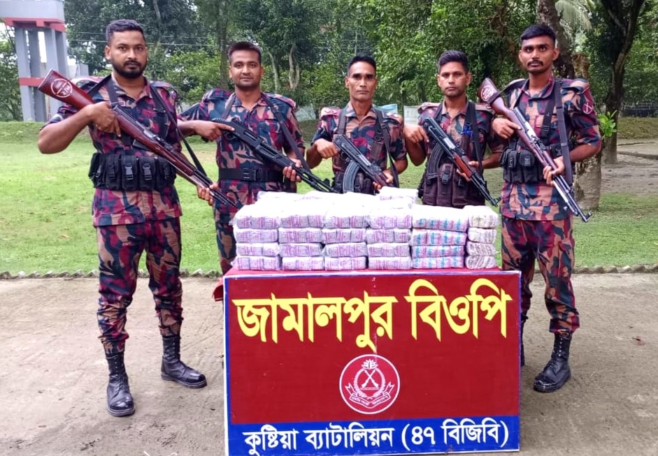 কুষ্টিয়া সীমান্তে বিজিবির ঝটিকা অভিযান