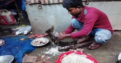 কুষ্টিয়ায় ফেলে দেওয়া মাছের আঁশে বাজিমাত: মিলছে বাড়তি আয়, রক্ষায় পরিবেশ