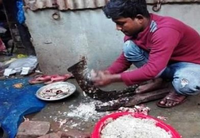 কুষ্টিয়ায় ফেলে দেওয়া মাছের আঁশে বাজিমাত: মিলছে বাড়তি আয়, রক্ষায় পরিবেশ